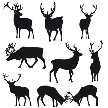 Deers silhouette collection - vector illustration. 