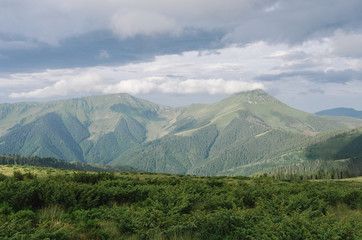 Summer landscape in muted tones