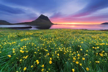 Fototapeten Schöne Landschaft mit Bergen und Meer in Island © Oleksandr Kotenko