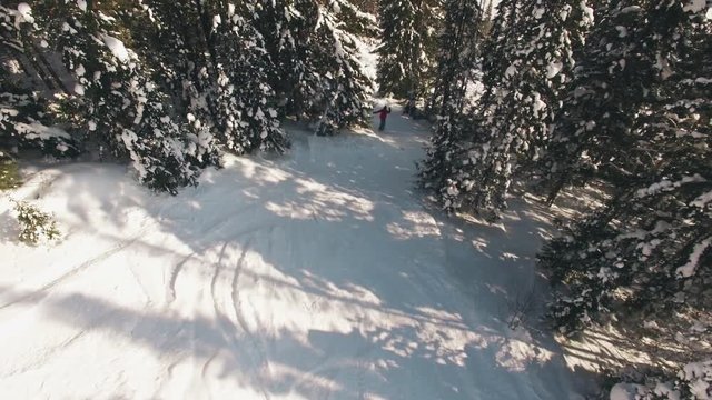 Snowboarding freeriding in forest aerial view