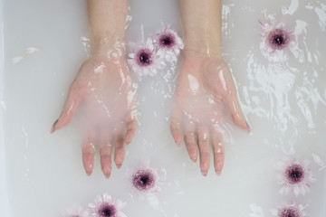 Fototapeta premium Woman's hand holding flowers under water. Spa treatment
