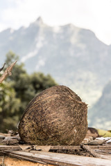 coconut lying on table on a background of mountains, Thailand