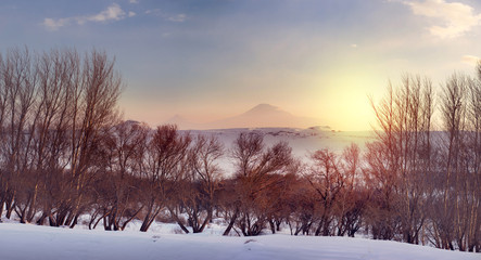 Gold sunset over forest in the Ararat mountains