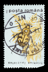 Postage Stamp isolated