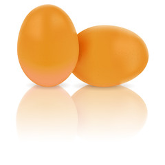 Chicken eggs on white background with reflection