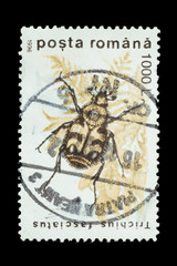 Postage Stamp isolated