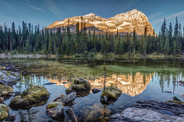 Autumn sunrise in the rocky mountains of British Columbia. from the shore of Lake O'Hara in the...