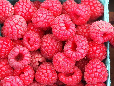Basket of fresh raspberries