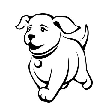 Vector black contour drawing of a cute running puppy isolated on a white background.