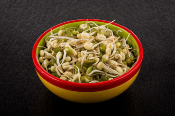 Pea seeds with sprouts close up