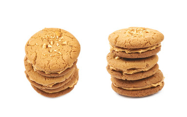 Peanut butter homemade cookie isolated