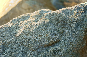 Roche grise