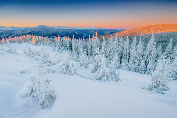 Fantastic winter landscape. Magic sunset in the mountains a fros