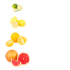 Colorful citrus set: grapefruit, lemon, lime and orange