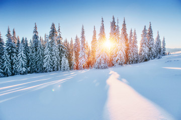 Fantastic winter landscape. Magic sunset in the mountains a frosty day. On the eve of the holiday....