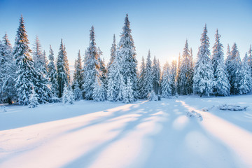 Paysage d& 39 hiver fantastique. Coucher de soleil magique dans les montagnes a fros