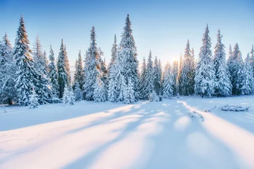 Foto op Plexiglas Fantastisch winterlandschap. Magische zonsondergang in de bergen een fros © standret