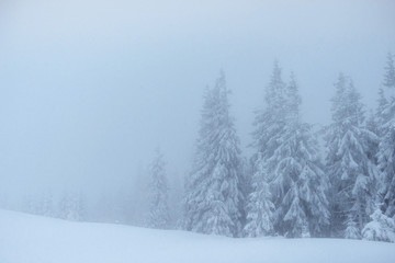 Dense fog in the mountains. Dramatic scene. Magical winter snow 