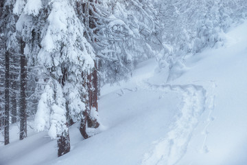 Fototapeta premium Fantastic winter landscape, steps, something leading into the mo