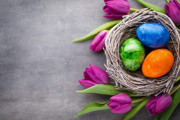 Spring greeting card. Easter eggs in the nest. Spring flowers tulips.
