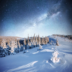 starry sky in winter snowy night. fantastic milky way in the New