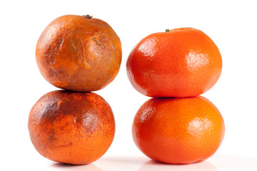 fresh and damaged tangerine isolated on white background
