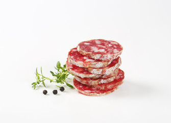 French dry cured sausage slices