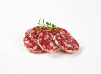 French dry cured sausage slices