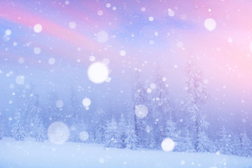 magical winter landscape, background with some soft highlights a