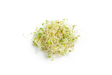 Heap of Alfalfa Sprouts