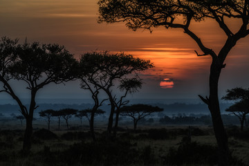 Sunrise in Masai Mara, Kenya, East Africa