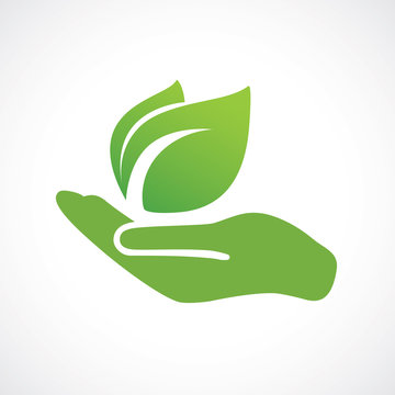 Hand holding plant. Growth concept vector illustration