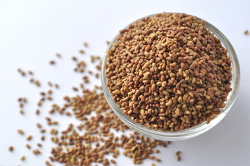 Alfalfa sprouting seeds (Medicago sativa) in a glass bowl isolated on white, top view, closeup
