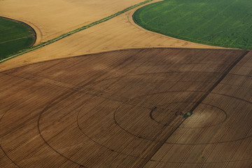 Patchwork Landscape, Croatia, Slavonia, Europe