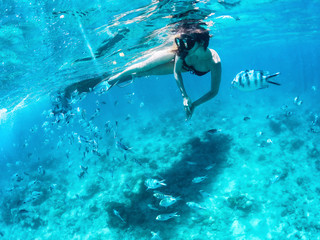Beautiful woman snorkeling among fishes in blue ocean.