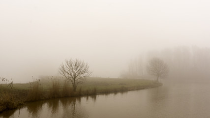 foggy river