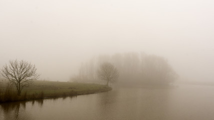 foggy river