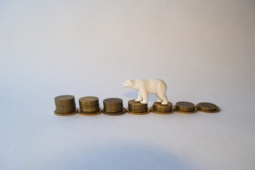 Bear and money