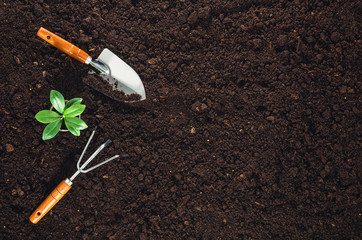 Gardening tools on fertile soil texture background seen from above, top view. Gardening or planting...