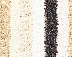 Different types of rice seamless pattern. Basmati, wild, jasmine, long brown, arborio, sushi. Six Stripes
