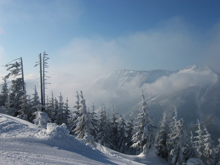 Alpine mountain, Lackenhof, Austria. mountain peaks covered with snow, trees with frost 