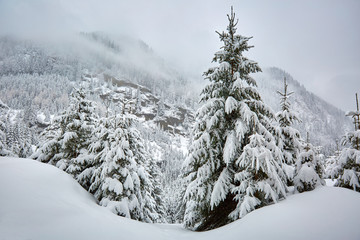 Winter landscape in the mountains