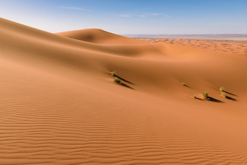 Fototapeta na wymiar Sahara Erg Chebbi dunes, Merzouga, Morocco 