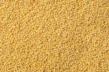 Yellow raw millet groats textured as background.