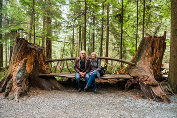 Tourists sitting on bench made from two dead tree stumps in Capilano Suspension Bridge Park