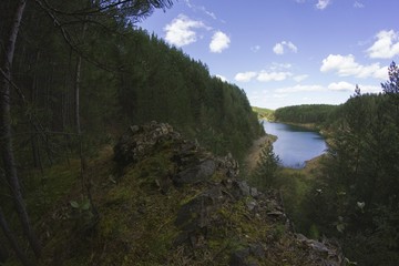 Fototapeta na wymiar Forest and lake