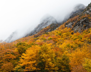 Misty Vermont Mountainside in Autumn