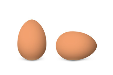 Two vector realistic brown eggs. Isolated eggs on white background. 