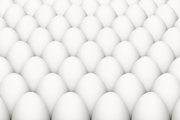 Group of white chicken eggs. Realistic vector illustration of eggs with shadows.