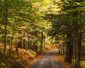 One lane road winding through the countryside